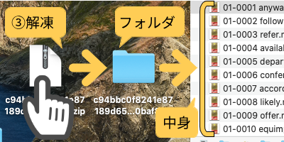 解凍したフォルダの中身